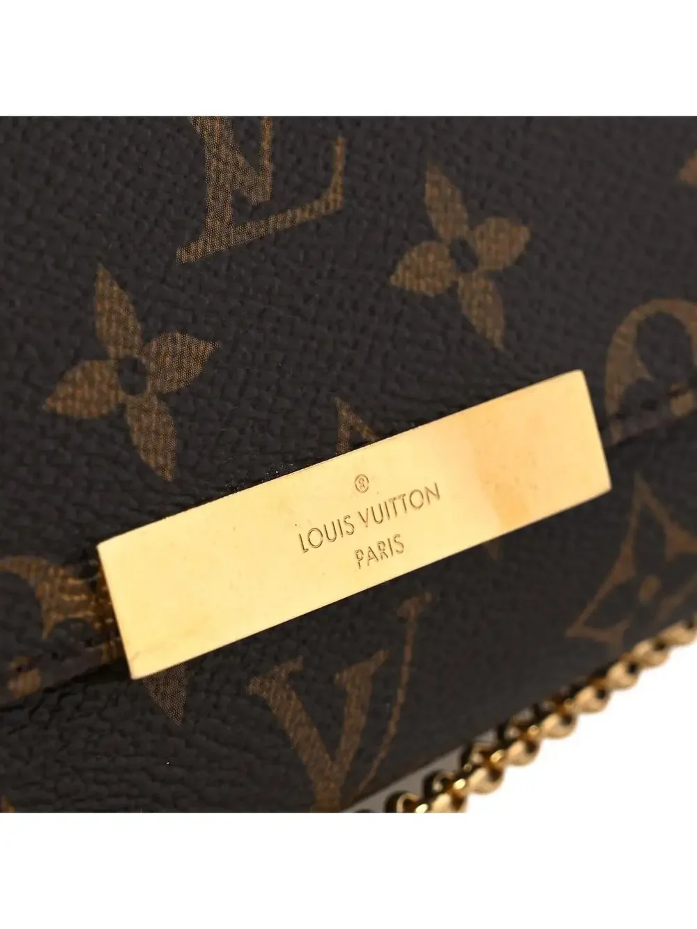 Louis Vuitton Favorite Pm #295559L14B